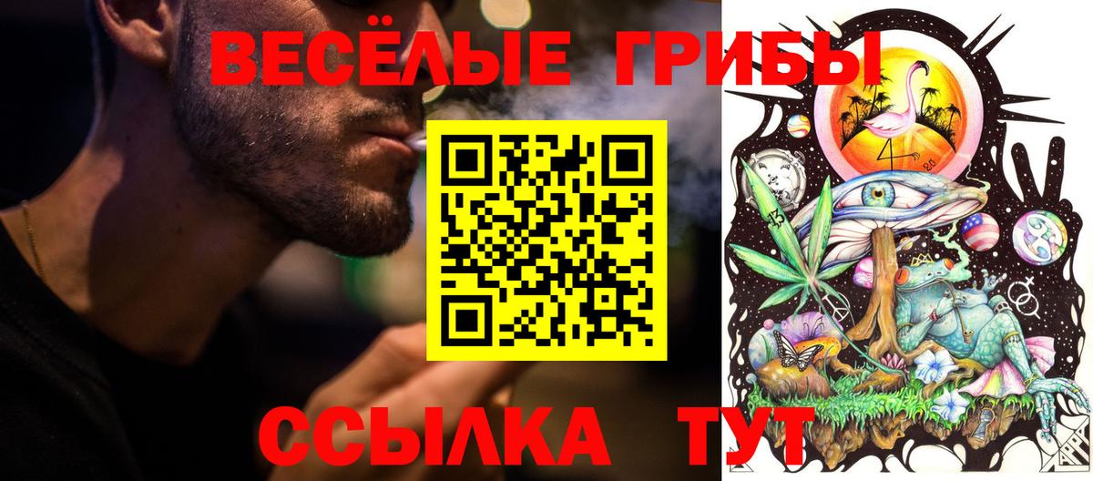 Псилоцибиновые грибы мицелий  Вход с VPN  где можно купить наркотик  Галлюциногенные грибы GOLDEN TEACHER  Курчатов 