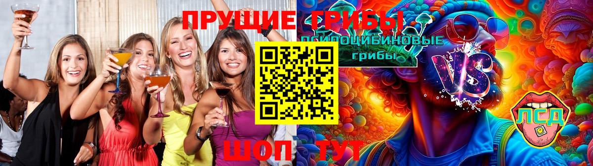 Галлюциногенные грибы Magic Shrooms Курчатов